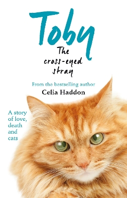 Book cover for Toby The Cross-Eyed Stray