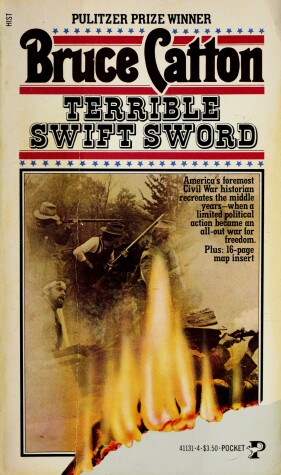 Book cover for Terribl Swft Sword