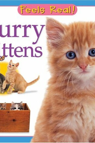 Cover of Furry Kittens