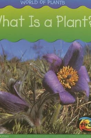 Cover of What Is a Plant?