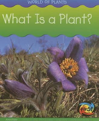 Cover of What Is a Plant?