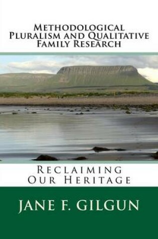 Cover of Methodological Pluralism and Qualitative Family Research