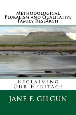 Book cover for Methodological Pluralism and Qualitative Family Research