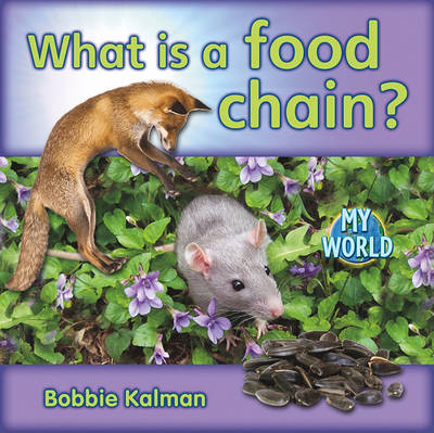 Book cover for What Is a Food Chain?