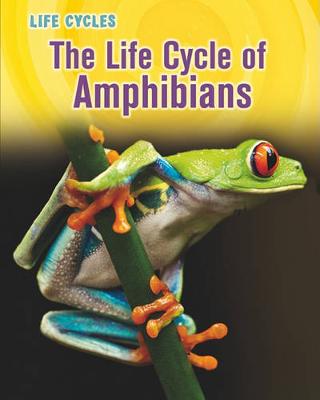 Book cover for Life Cycles Life Cycle of Amphibians