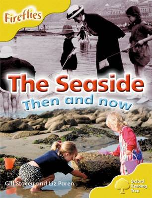 Book cover for Level 5: More Fireflies A: The Seaside