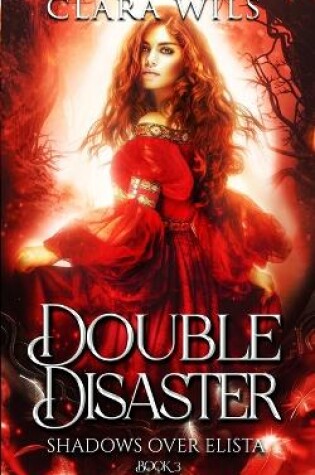 Cover of Double Disaster
