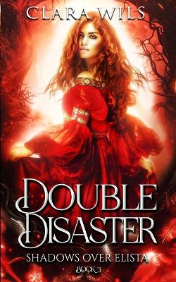 Book cover for Double Disaster