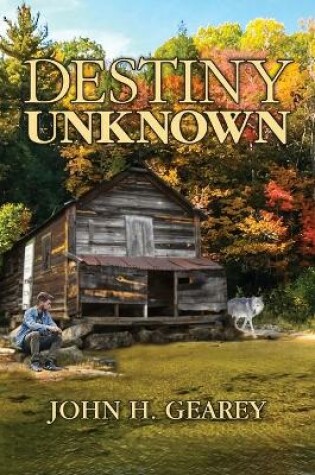 Cover of Destiny Unknown