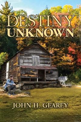 Book cover for Destiny Unknown