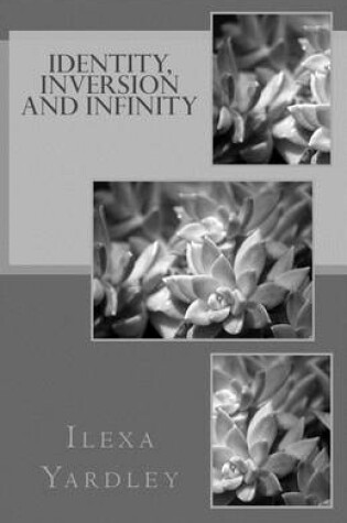 Cover of Identity, Inversion and Infinity