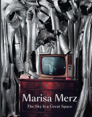 Book cover for Marisa Merz