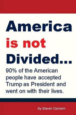 Book cover for America Is Not Divided...