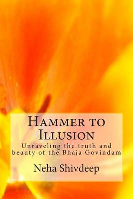 Book cover for Hammer to Illusion