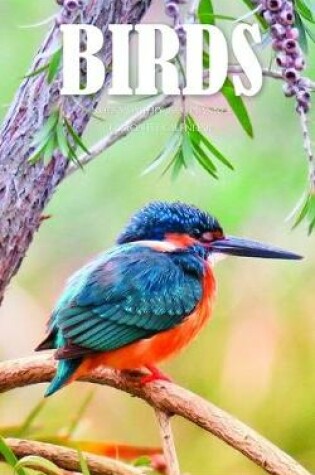 Cover of Birds Note Monthly 2020 Planner 12 Month Calendar