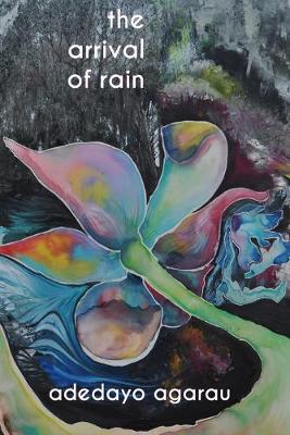 Book cover for The arrival of rain