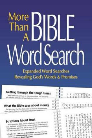 Cover of More Than a Bible Word Search