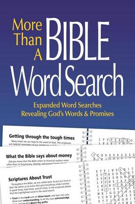 Book cover for More Than a Bible Word Search