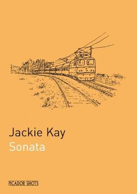 Book cover for PICADOR SHOTS - 'Sonata'