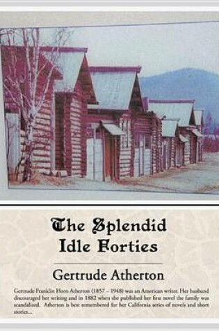 Cover of The Splendid Idle Forties (eBook)