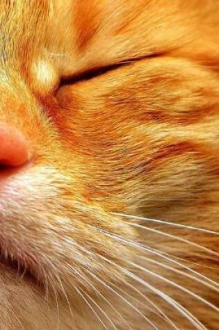 Cover of Cute Ginger Winking Kitty