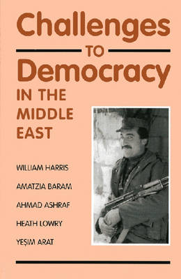 Book cover for Challenges to Democracy