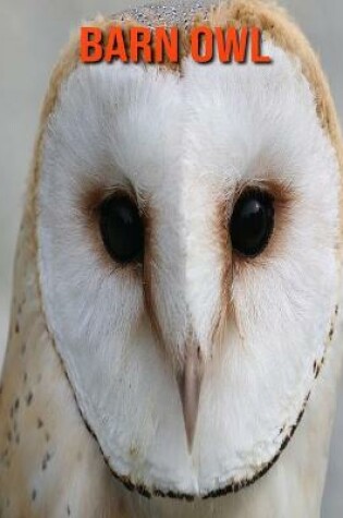 Cover of Barn owl