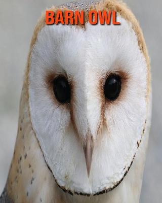 Book cover for Barn owl