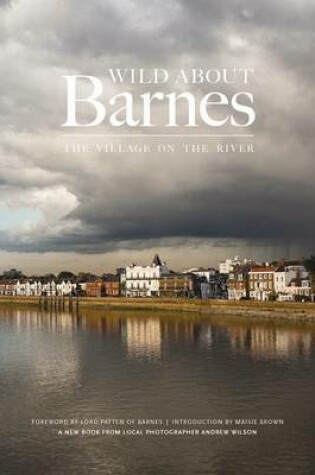 Cover of Wild About Barnes