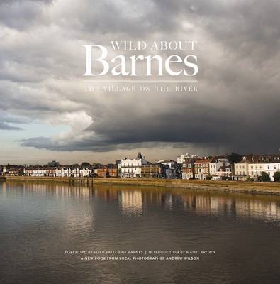 Book cover for Wild About Barnes