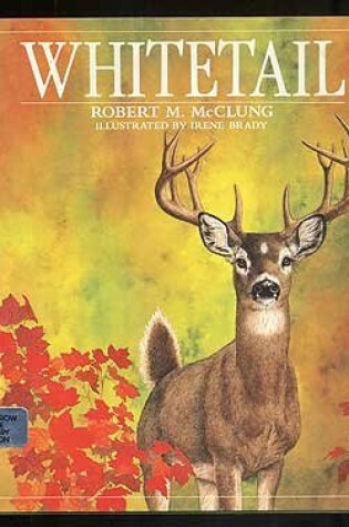 Cover of Whitetail