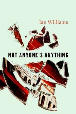 Cover of Not Anyone's Anything