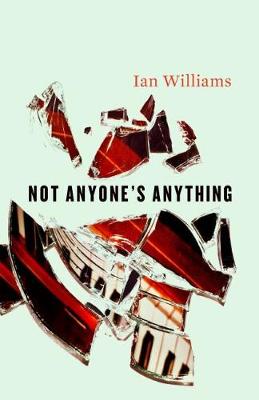 Book cover for Not Anyone's Anything