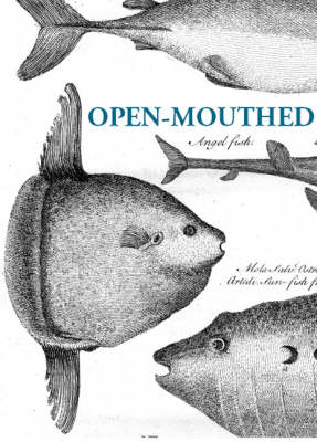 Book cover for Open-mouthed