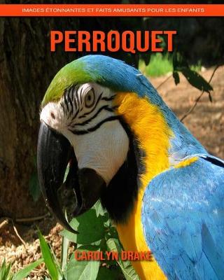Book cover for Perroquet