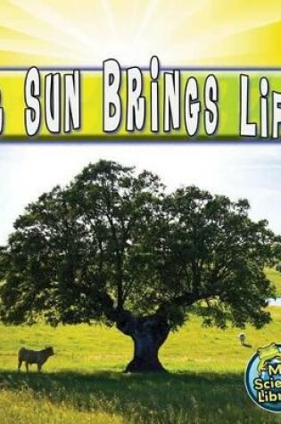 Cover of Our Sun Brings Life