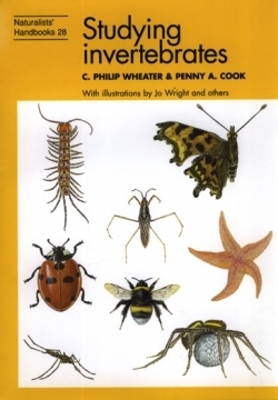 Cover of Studying Invertebrates