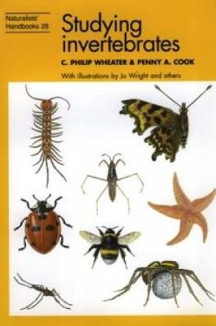 Cover of Studying Invertebrates