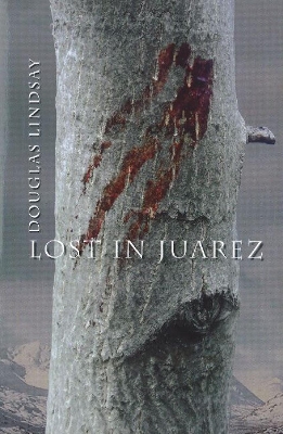 Book cover for Lost in Juarez