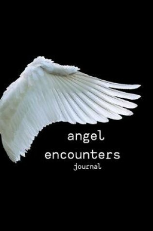 Cover of angel encounters journal