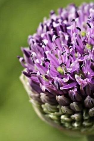 Cover of Purple Ornamental Onion Bloom Journal