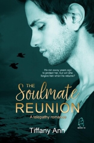 Cover of The Soulmate Reunion