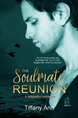 Book cover for The Soulmate Reunion