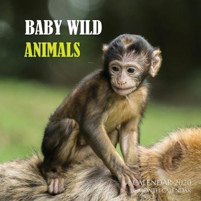 Book cover for Baby Wild Animals Calendar 2020