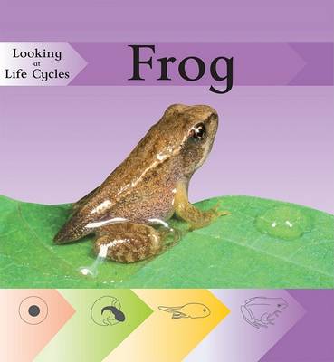 Book cover for Frog