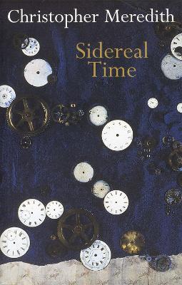 Book cover for Sidereal Time