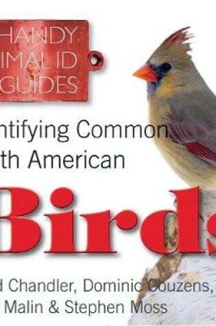 Cover of Identifying Common North American Birds