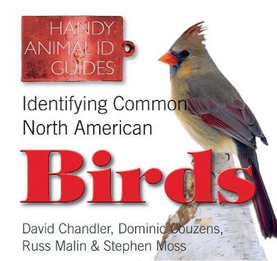 Book cover for Identifying Common North American Birds