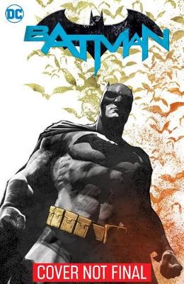 Book cover for Batman Vol. 11