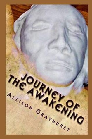 Cover of Journey of the Awakening